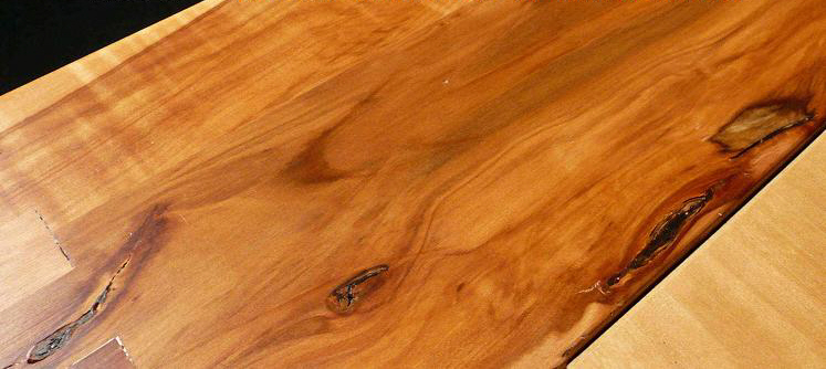 holzarten – holzraum43